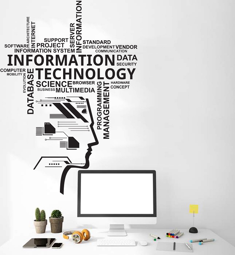 Information Technology Vinyl W - огляд і ціна Information Technology Officer